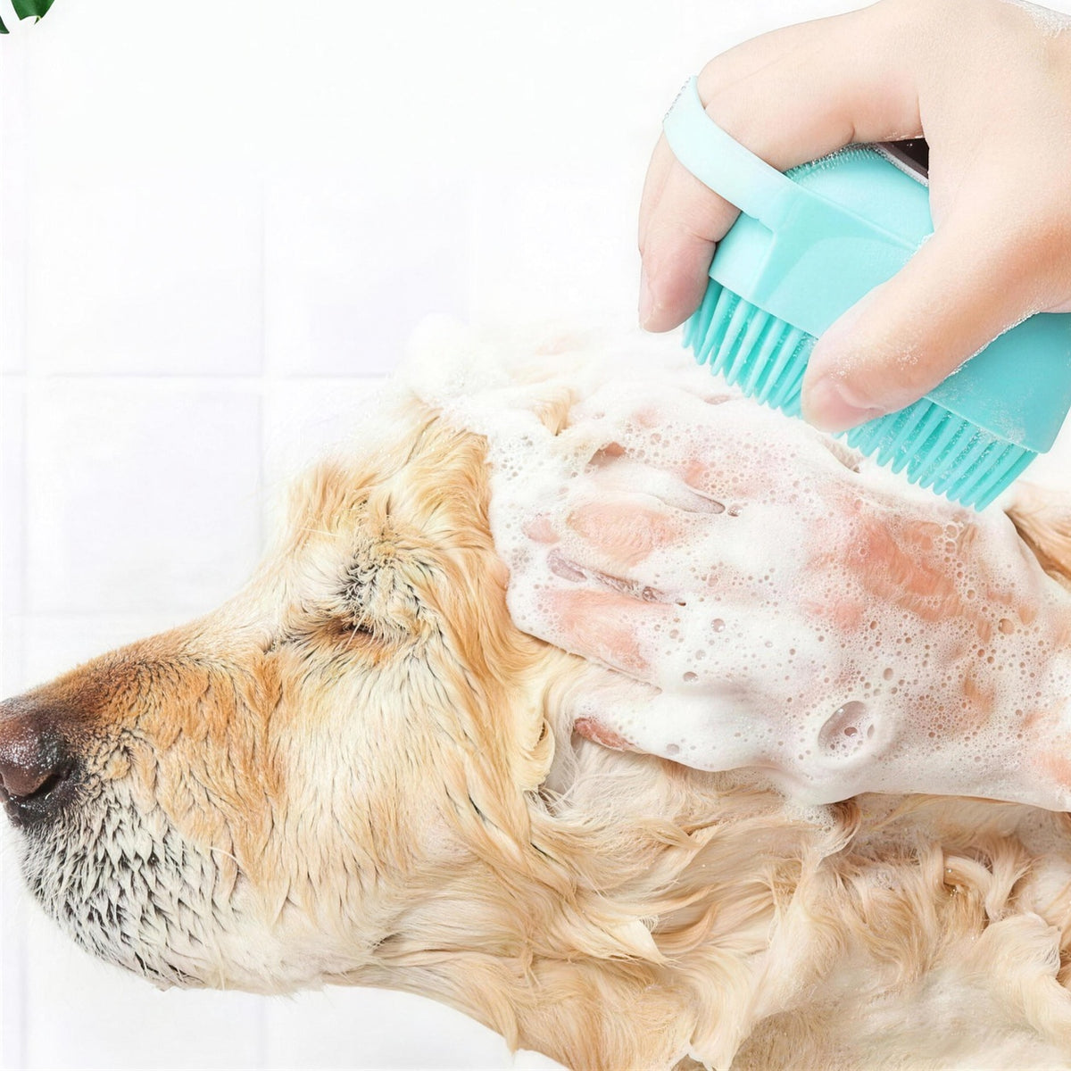 Washing a golden retriever with the Pet Wash Brush
