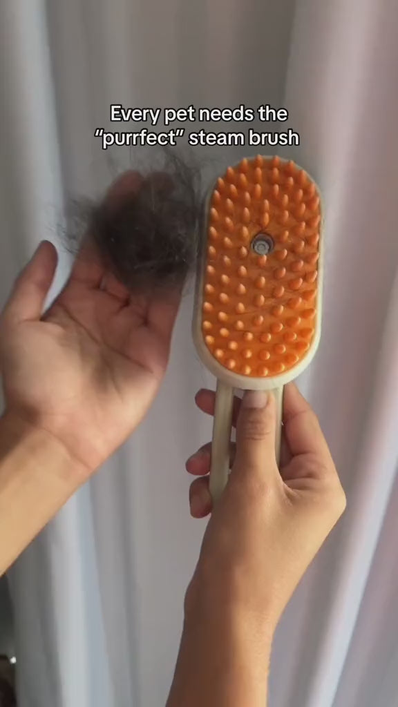 Filling the steam grooming brush with water, then brushing a long-haired dog and lifting the loose hair off the brush